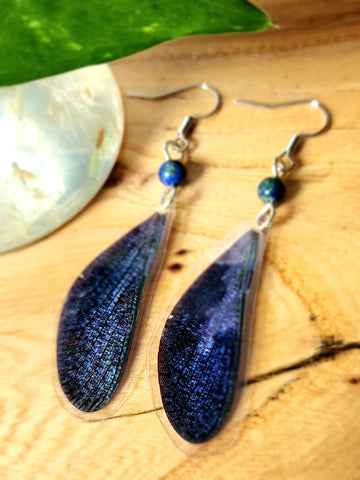 Real Navy Damselfly Wing Earrings, Small iridescent Blue Wing Earrings