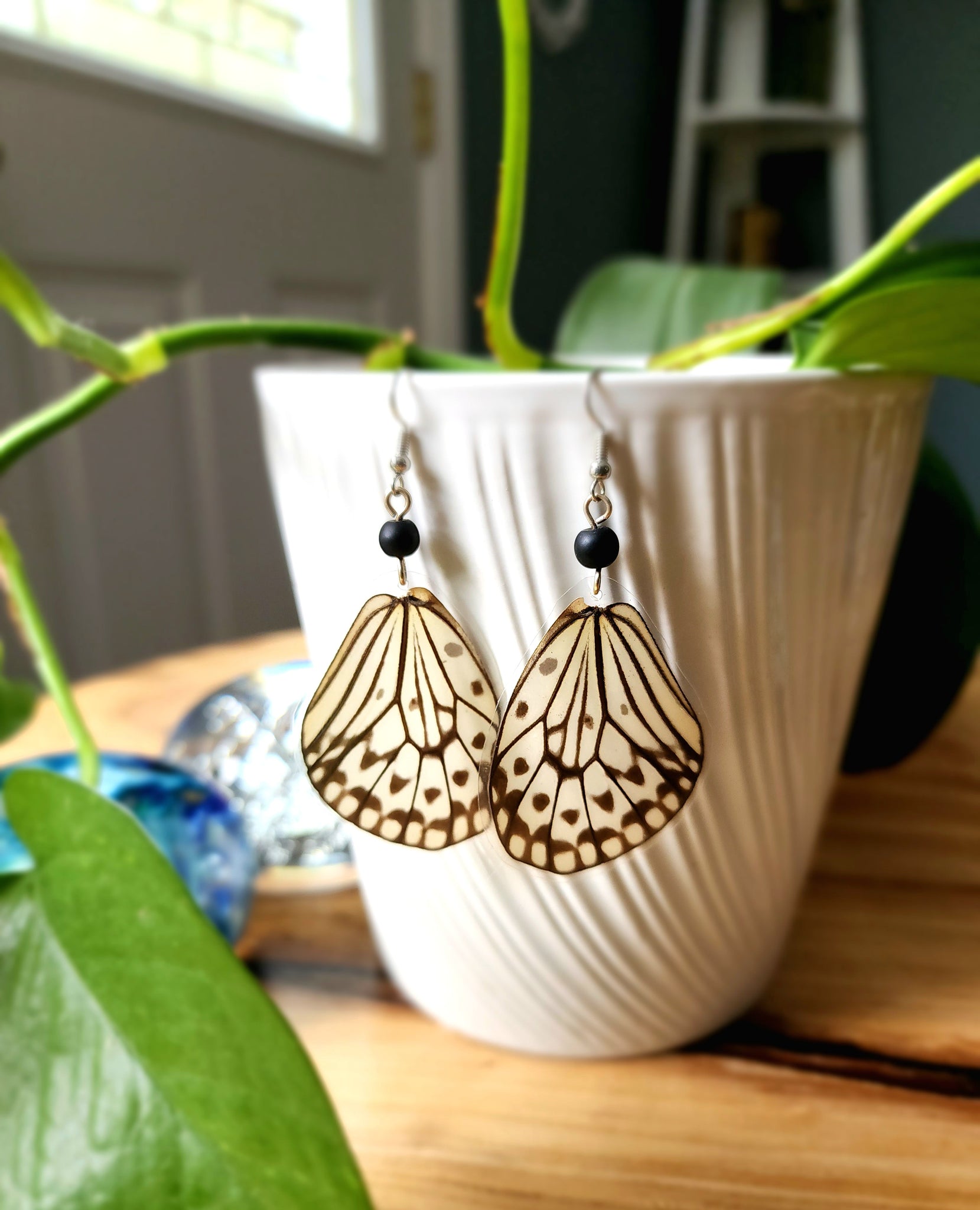 Tree Nymph Butterfly, Idea Leuconoe Butterfly Earrings