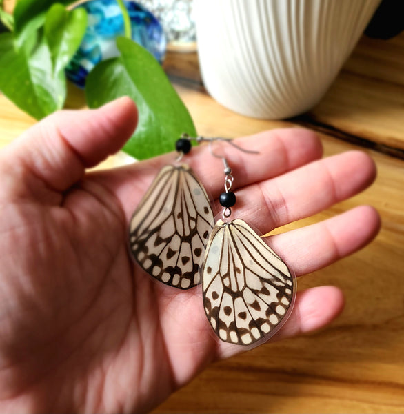 Tree Nymph Butterfly, Idea Leuconoe Butterfly Earrings