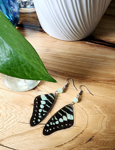 Common Jay Butterfly Wing Earrings