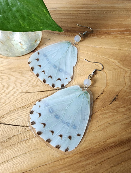 Mint Morpho Butterfly Wing Earrings, Morpho Catenarius Butterfly Earrings, White Morpho Earrings