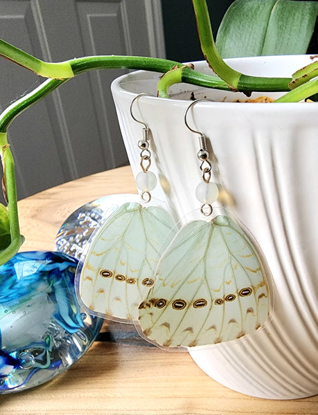 Mint Morpho Butterfly Wing Earrings, Morpho Catenarius Butterfly Earrings, White Morpho Earrings