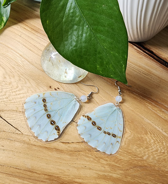 Mint Morpho Butterfly Wing Earrings, Morpho Catenarius Butterfly Earrings, White Morpho Earrings