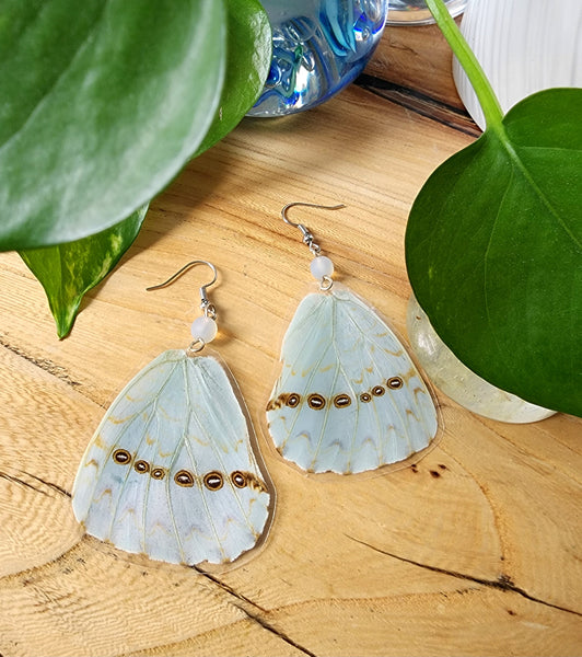 Mint Morpho Butterfly Wing Earrings, Morpho Catenarius Butterfly Earrings, White Morpho Earrings