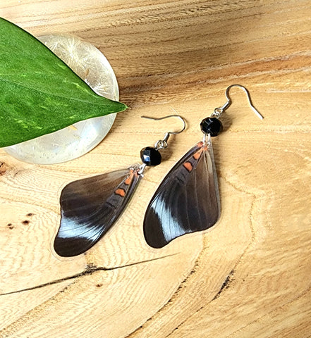 Blue Butterfly Wing Earrings