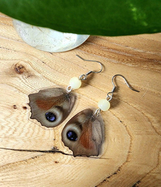 European Peacock Eyespot Butterfly Wing Earrings