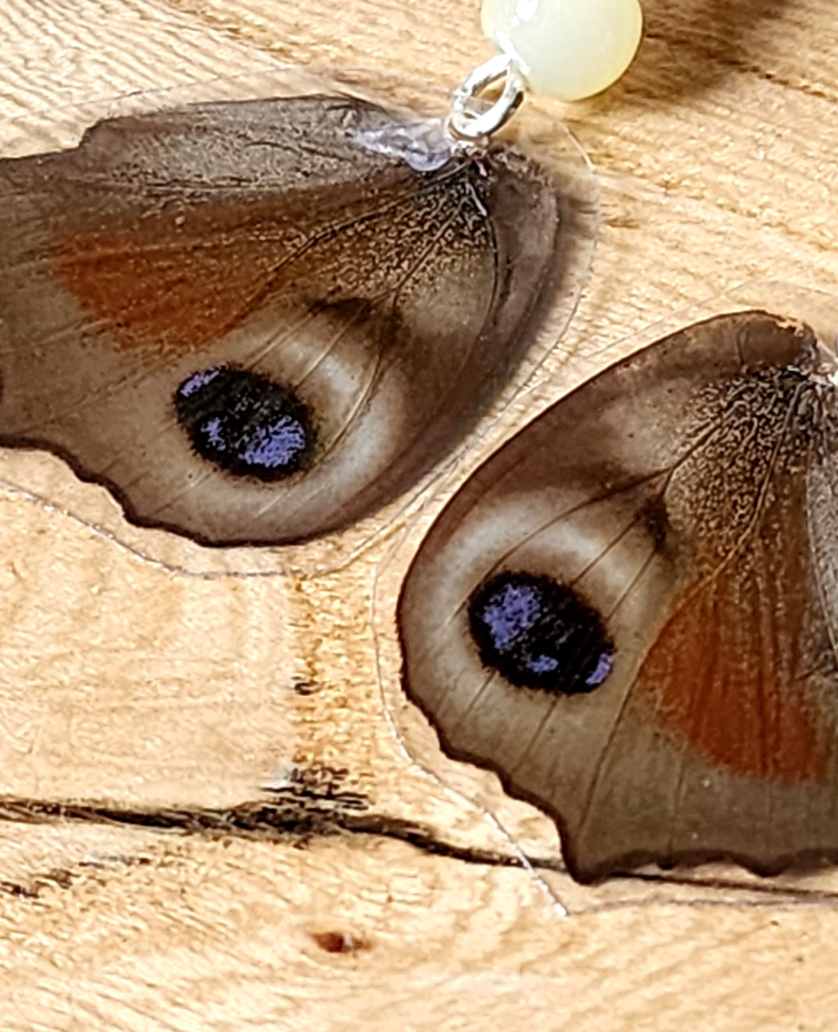 European Peacock Butterfly Wing Earrings, IO Butterfly Earrings