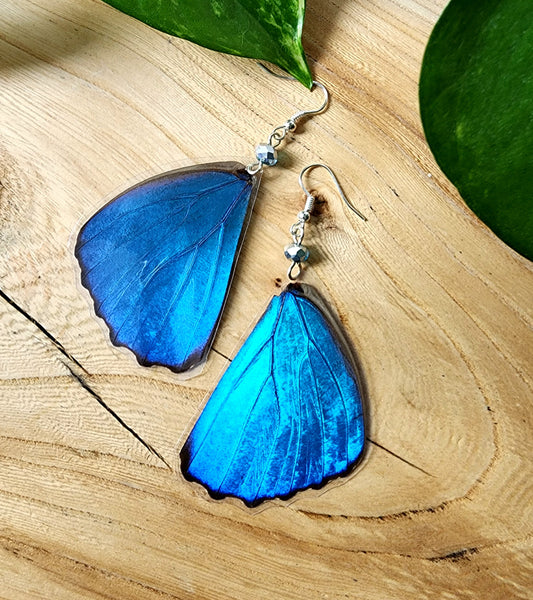 Blue Butterfly Wing Earrings, Morpho Butterfly Earrings