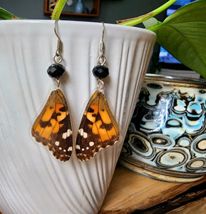 Painted Lady Butterfly Wing Earrings