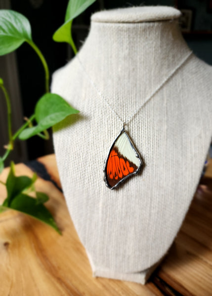 Orange & White Butterfly Pendant, The Great Orange-Tip Butterfly