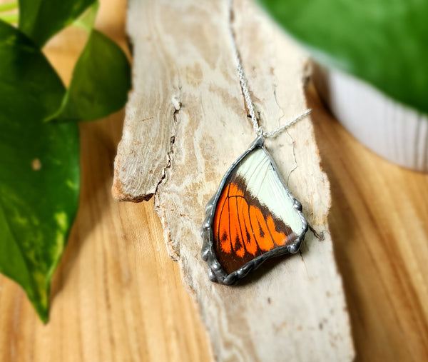 Orange & White Butterfly Pendant, The Great Orange-Tip Butterfly