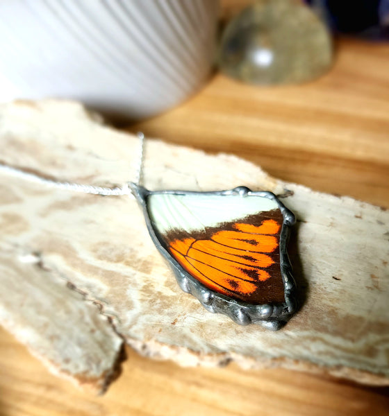 Orange & White Butterfly Pendant, The Great Orange-Tip Butterfly