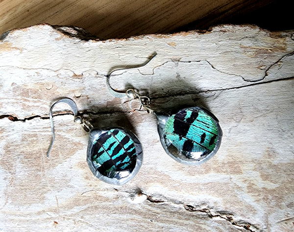 Sunset Moth Round Drop Glass Earrings