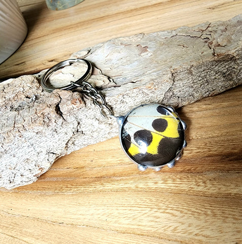 Black and Yellow Troid Butterfly Wing Keychain