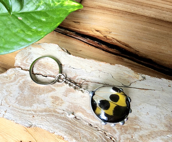 Black and Yellow Troid Butterfly Wing Keychain