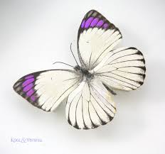 Real Purple Butterfly Necklace, Purple Tip Butterfly Jewelry, Colotis Regina Necklace, Hand-Chained Beaded Butterfly Necklace