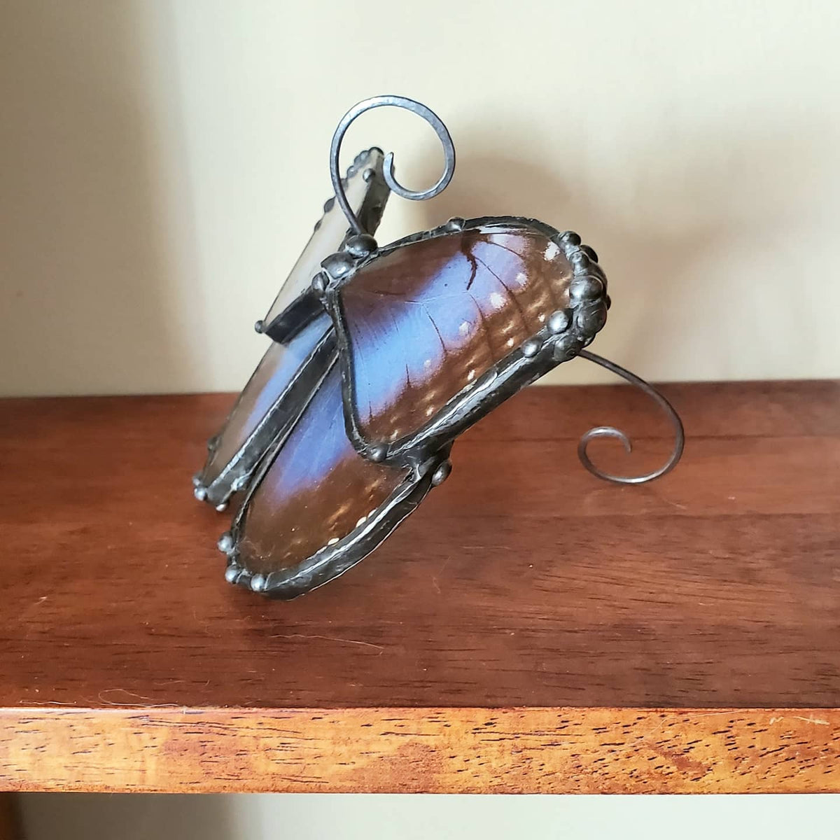 Achilles Morpho Four-Wing Glass Shelf Hanger