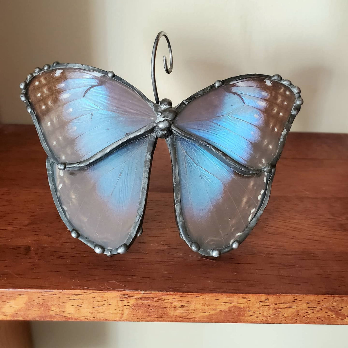 Achilles Morpho Four-Wing Glass Shelf Hanger