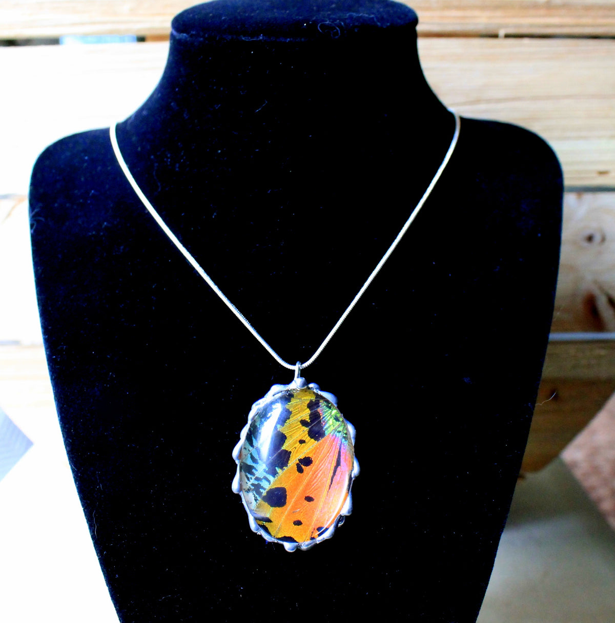 Madagascan Sunset Moth Large Oval Glass-Dome Pendant
