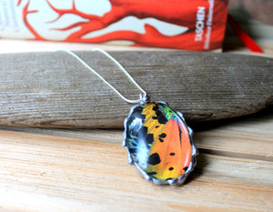 Madagascan Sunset Moth Domed Oval Pendant, Rainbow Moth Necklace, Sunset Moth Jewelry