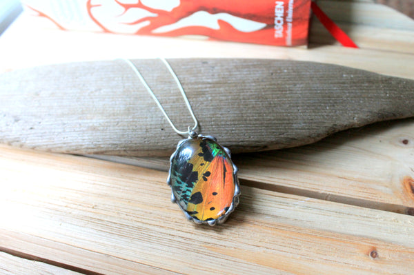 Madagascan Sunset Moth Domed Oval Pendant, Rainbow Moth Necklace, Sunset Moth Jewelry