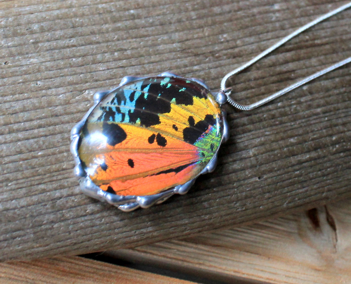 Madagascan Sunset Moth Large Oval Glass-Dome Pendant