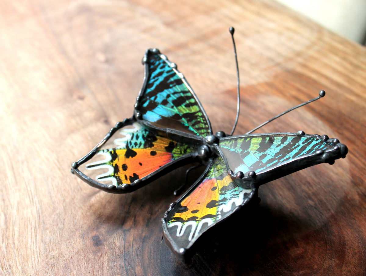Madagascan Sunset Moth Glass Tabletop Figurine