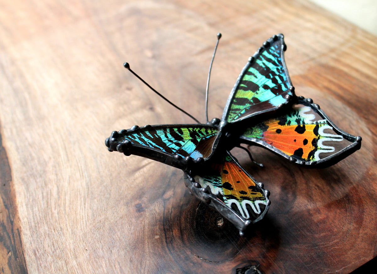 Madagascan Sunset Moth Glass Tabletop Figurine