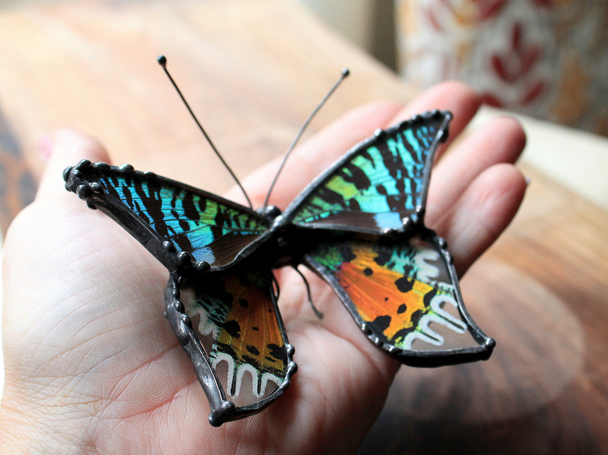 Madagascan Sunset Moth Glass Tabletop Figurine