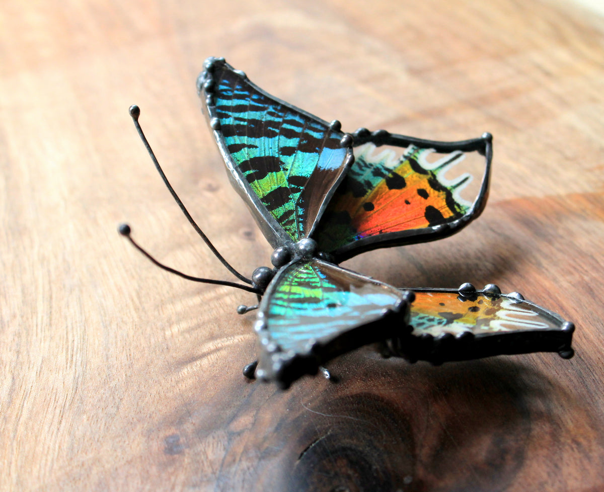 Madagascan Sunset Moth Glass Tabletop Figurine
