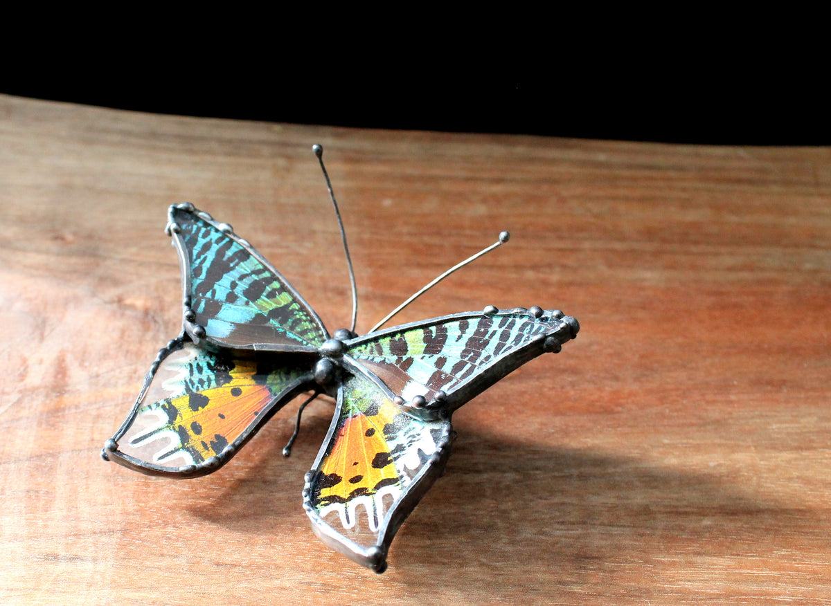 Madagascan Sunset Moth Glass Tabletop Figurine