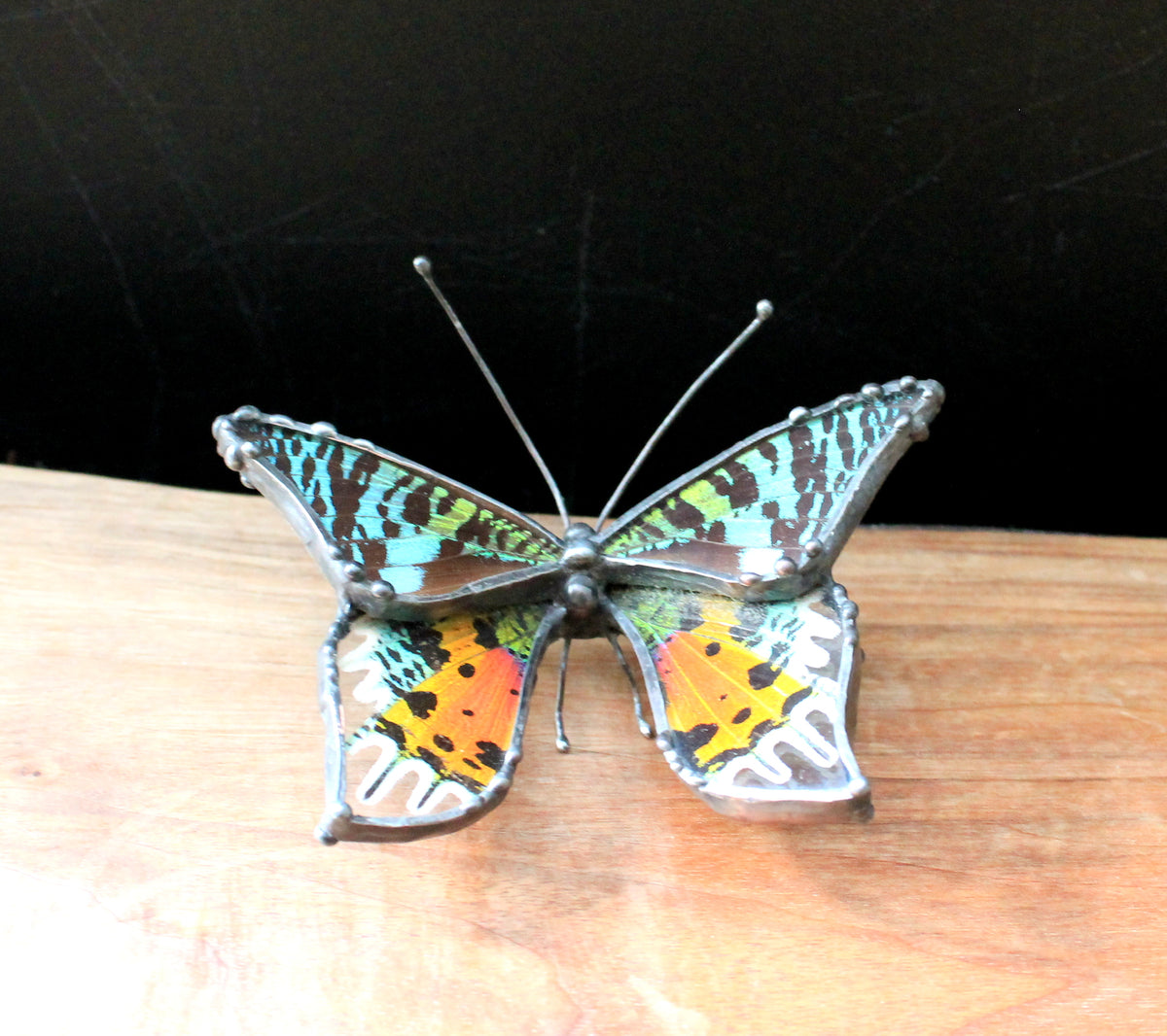 Madagascan Sunset Moth Glass Tabletop Figurine