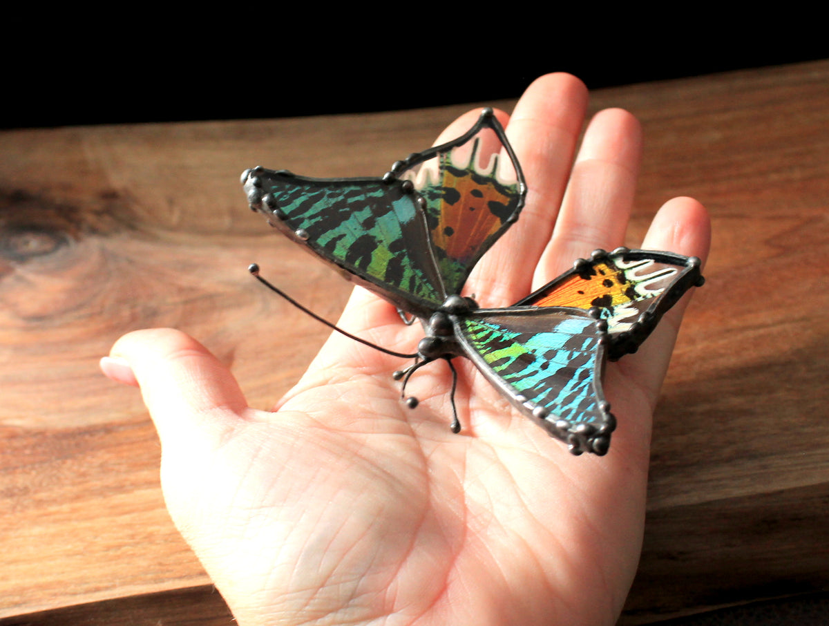 Madagascan Sunset Moth Glass Tabletop Figurine