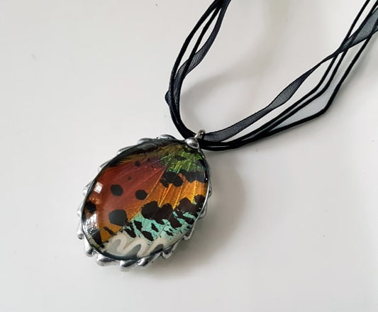 Madagascan Sunset Moth Wing Large Oval Glass-Dome Pendant