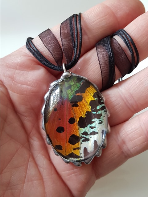 Madagascan Sunset Moth Wing Large Oval Glass-Dome Pendant