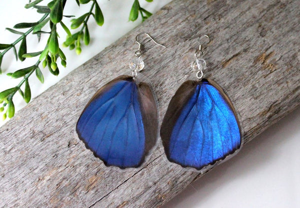 Blue Morpho Butterfly Hindwing Earrings with Clear Faceted Crystal