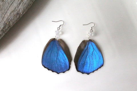 Blue Morpho Butterfly Hindwing Earrings with Clear Faceted Crystal