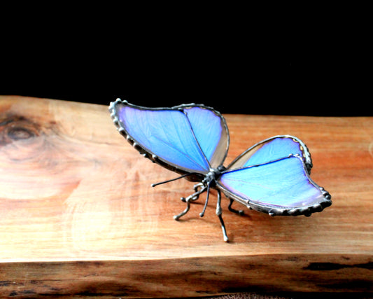 Extra-Large Morpho Didius Blue Wing Glass Tabletop Figurine