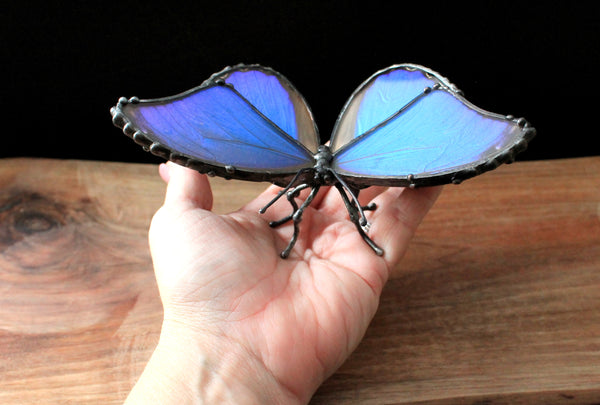 Blue Morpho Didius, Real Butterfly Wing Statuette, Butterfly Wing Decor, Table Top Butterfly