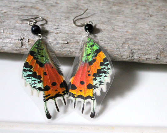 Madagascan Sunset Moth Hindwing Black Agate Earrings