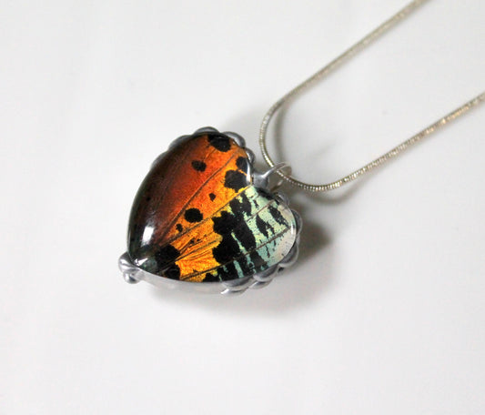 Madagascan Sunset Moth Medium Heart Glass-Dome Pendant